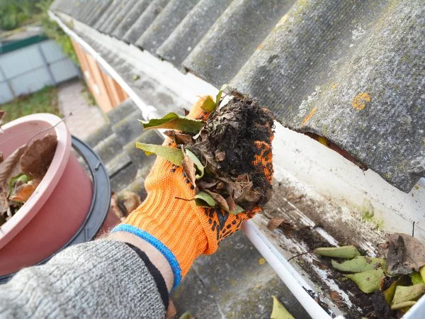 professional cleaner with orange gloves holding dirt from gutter