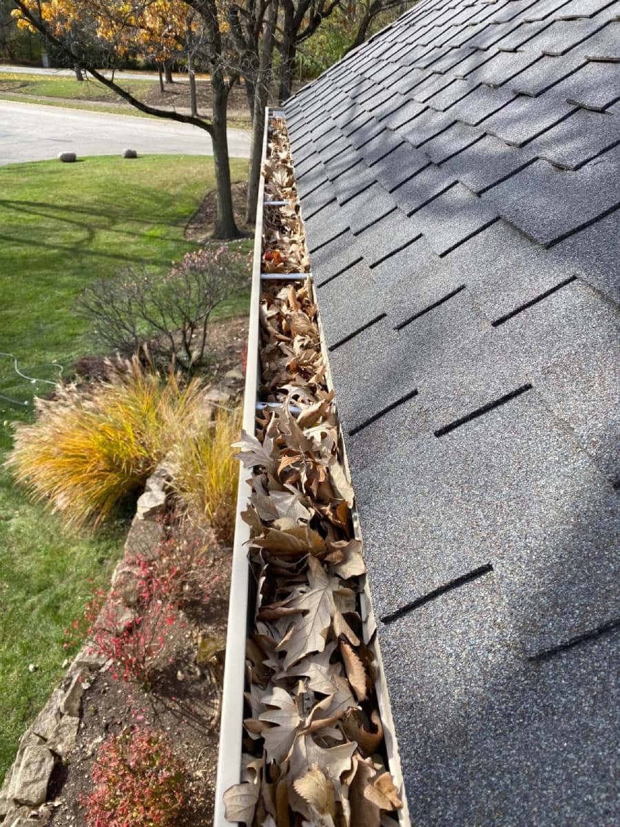 Gutter Cleaning Western Suburbs